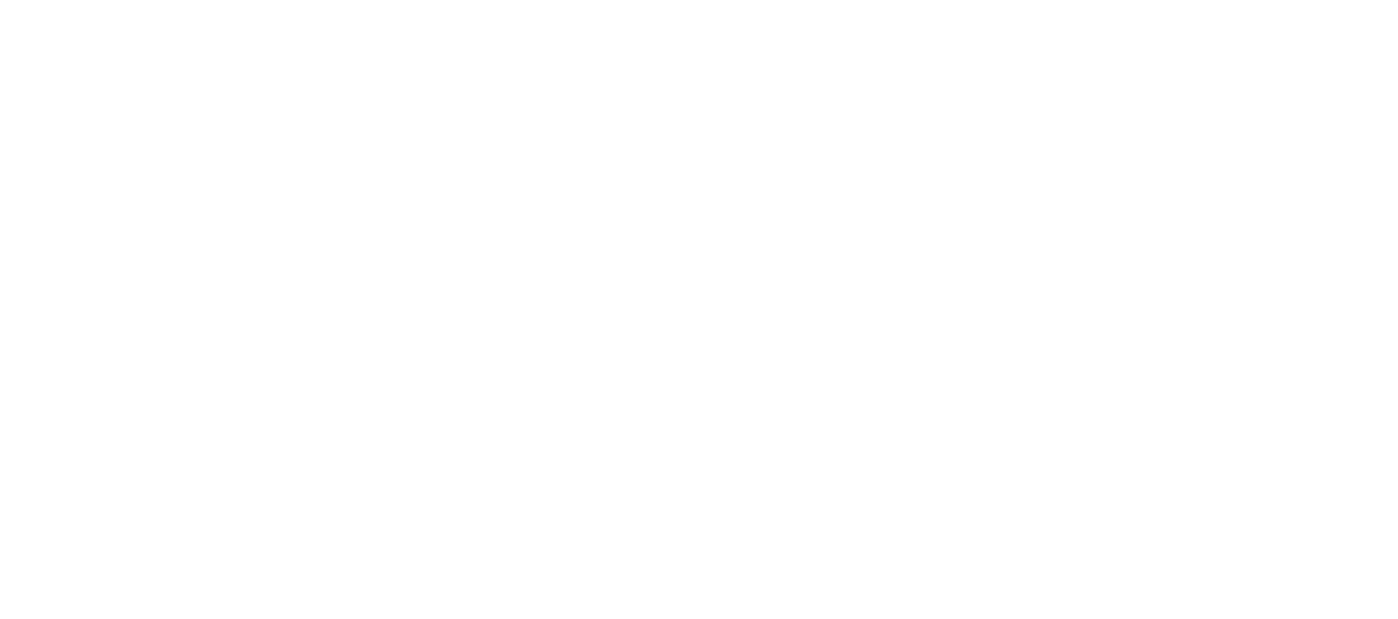 2025- White Race Logo